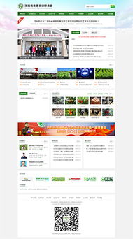 長沙營銷型網站建設與網絡營銷策劃——湖南移動時代網絡公司的專業服務