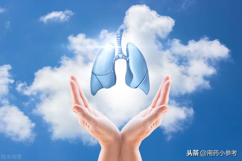 好肺好健康，日常生活中護(hù)肺良方
